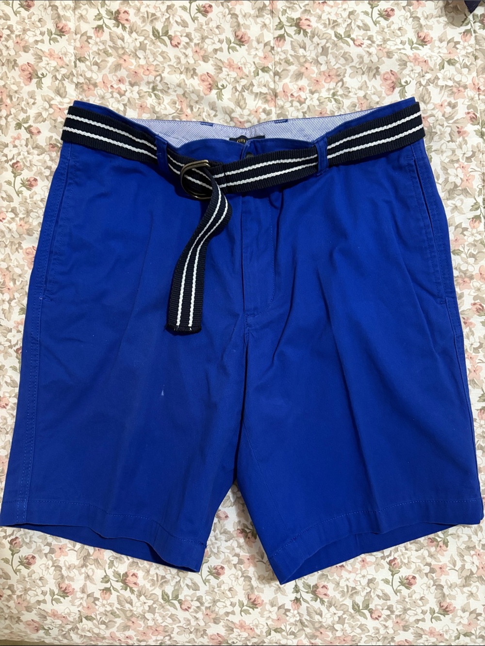 Club Room Cobalt Blue Men’s Shorts with Black & White Striped Belt